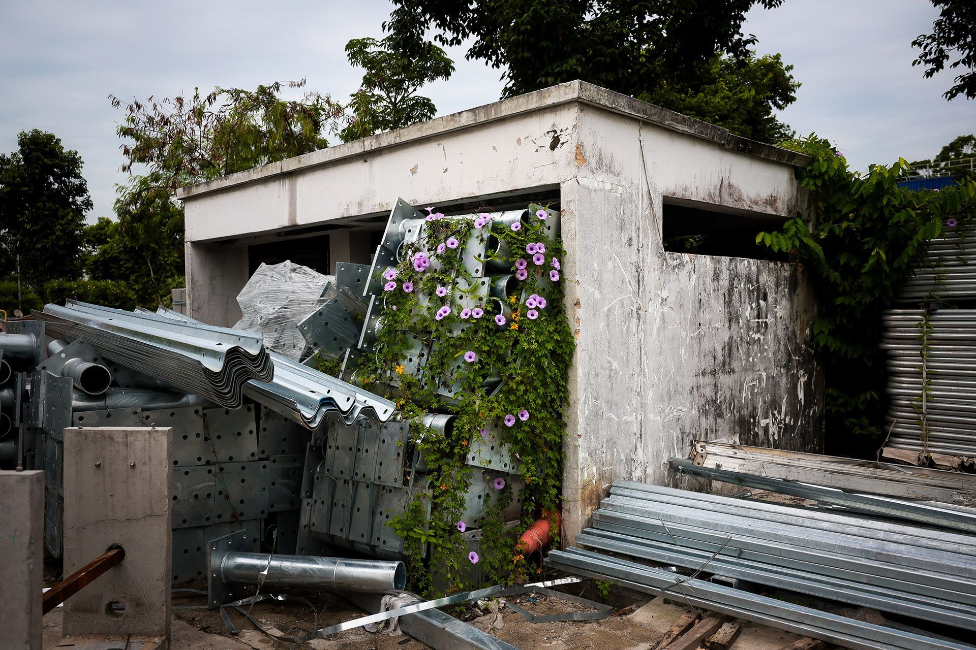 Raw steel bars at a structural steel fabrication company in Loyang.